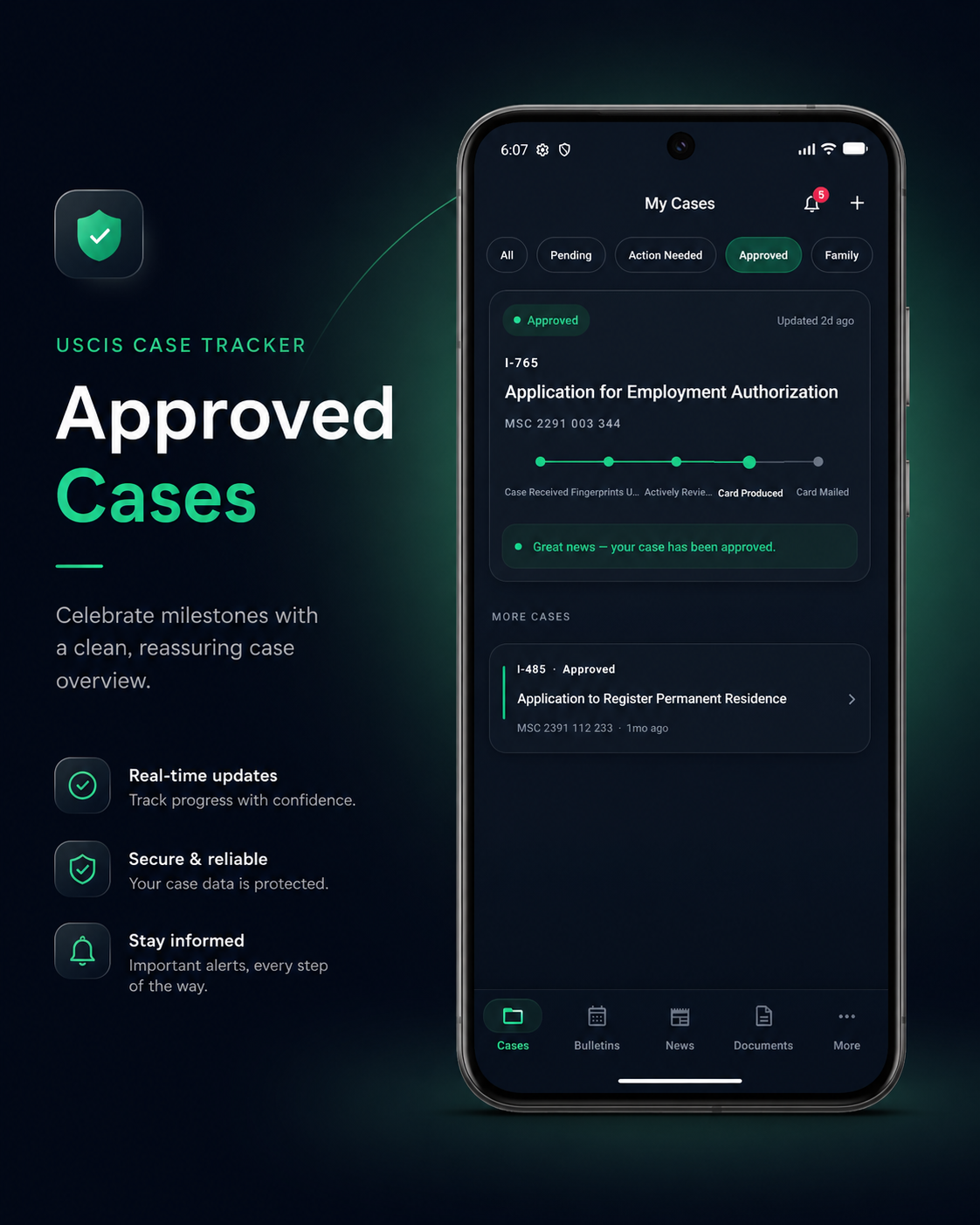 Approved Cases (Dark)